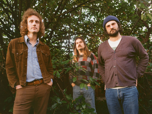 Triptides