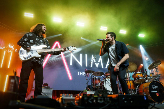 Animals - The Maroon 5 Tribute