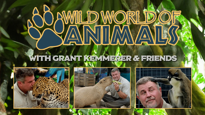 Wild World of Animals