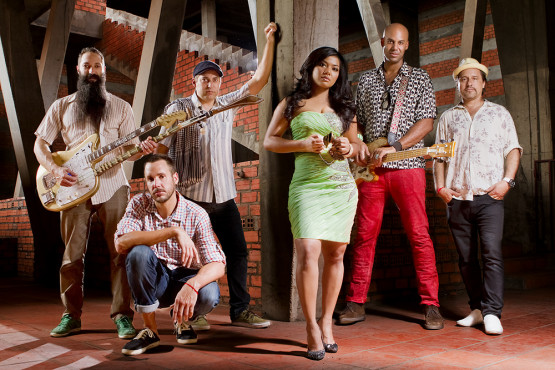 Dengue Fever