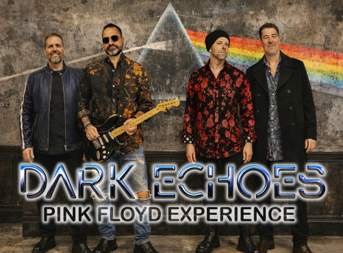 Dark Echoes