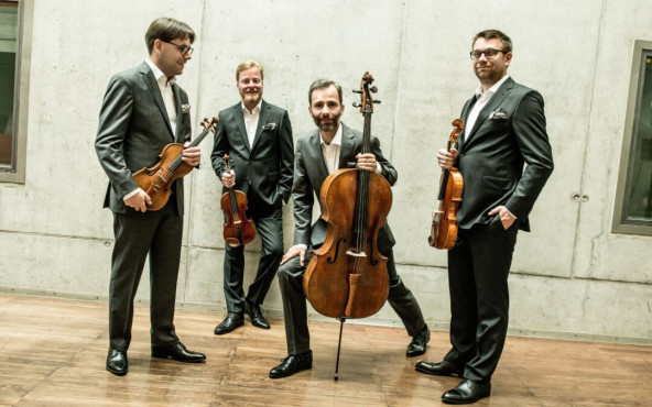 Virginia Chamber Orchestra