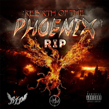 Rebirth of The Phoenix