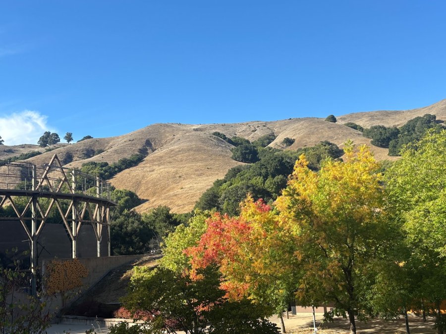 Siesta Valley Bowl — photo 2 of 4