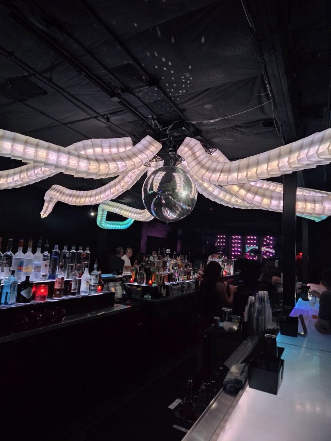 Discopussy — photo 4 of 4