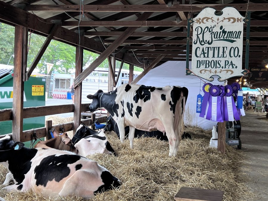 Clearfield Fairgrounds — photo 2 of 4