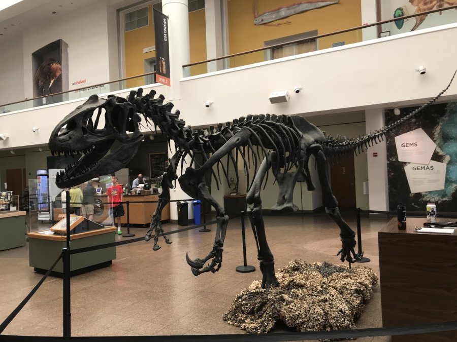 San Diego Natural History Museum — photo 3 of 4