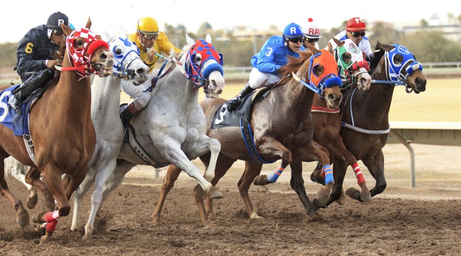 Rillito Park Race Track