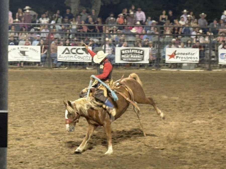 Austin County Fair — photo 3 of 4