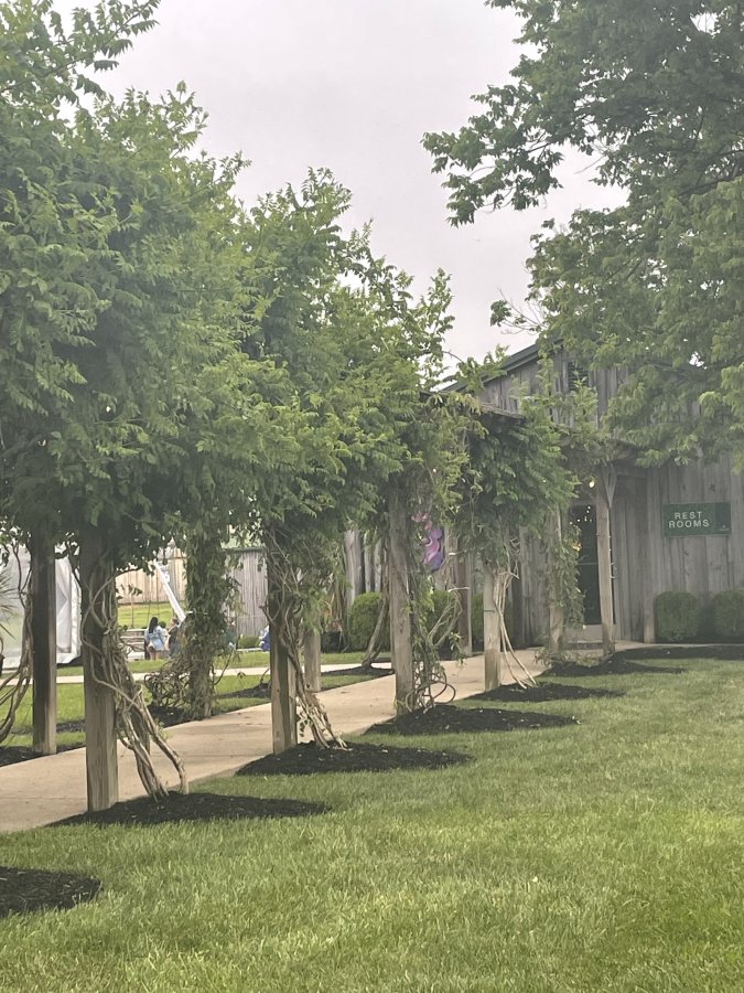 The Vine Amphitheater — photo 4 of 4
