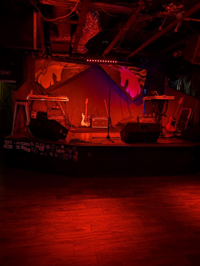The Drunken Unicorn — photo 3 of 4