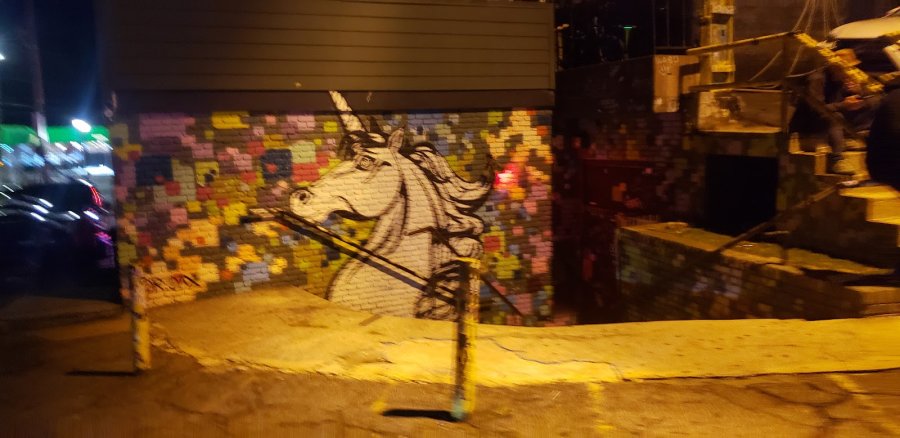 The Drunken Unicorn — photo 4 of 4