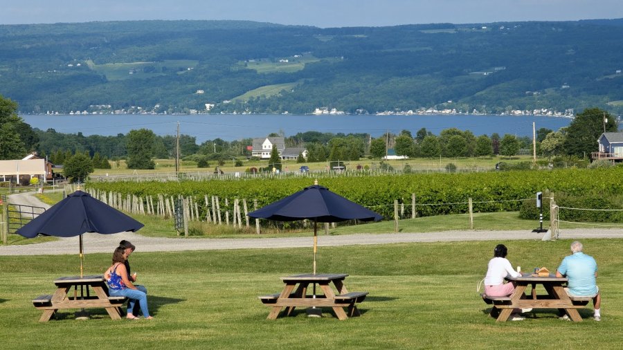 Point of the Bluff Vineyards — photo 3 of 4