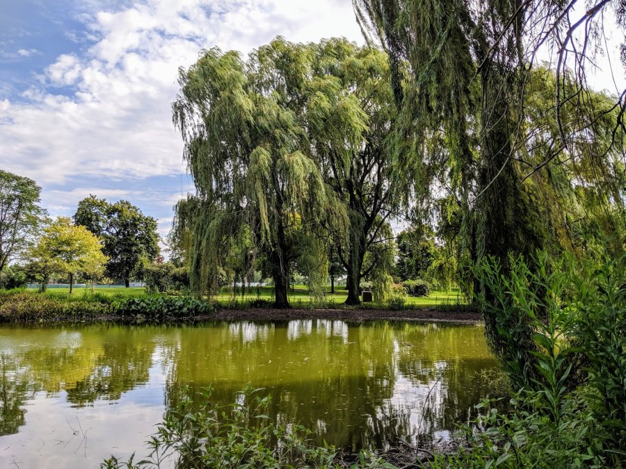 Douglass Park — photo 4 of 4