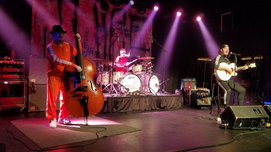 Music Farm — photo 3 of 4