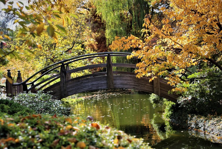 Fort Worth Botanic Garden — photo 2 of 4