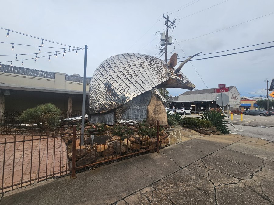 Armadillo Palace — photo 4 of 4
