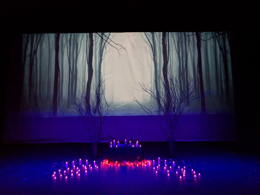 Charles R. Wood Theater — photo 4 of 4
