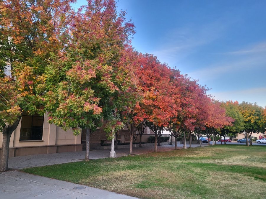 Lodi Hutchins Street Square — photo 2 of 4