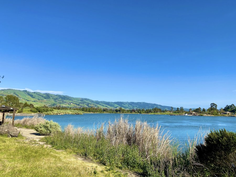 Lake Cunningham Regional Park — photo 4 of 4