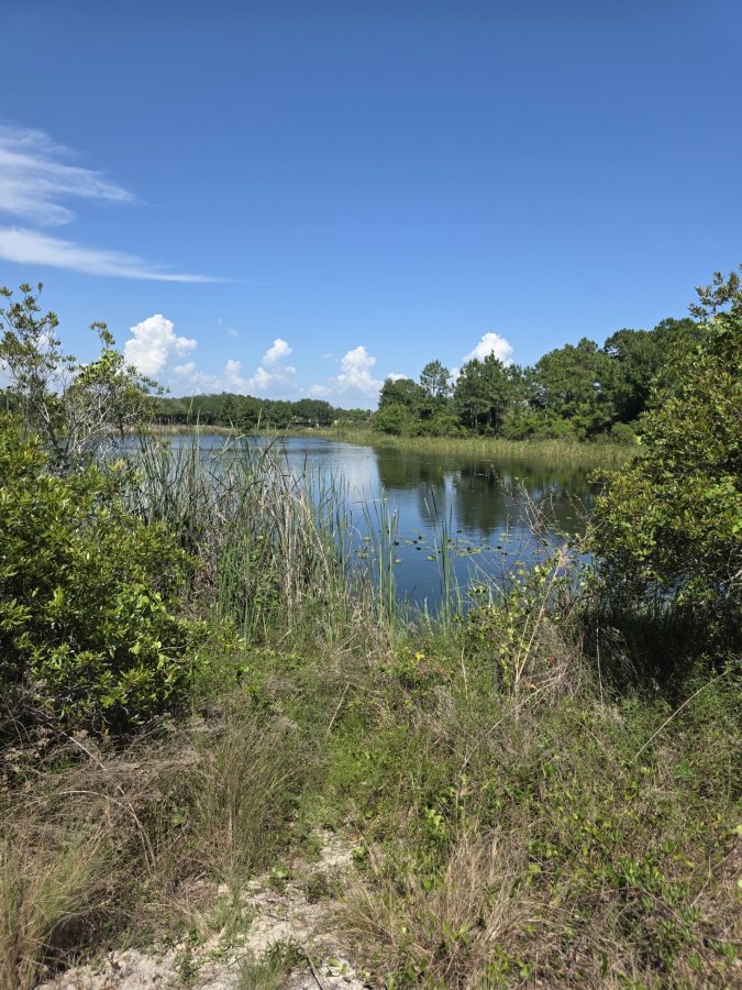 Aaron Bessant Park — photo 4 of 4