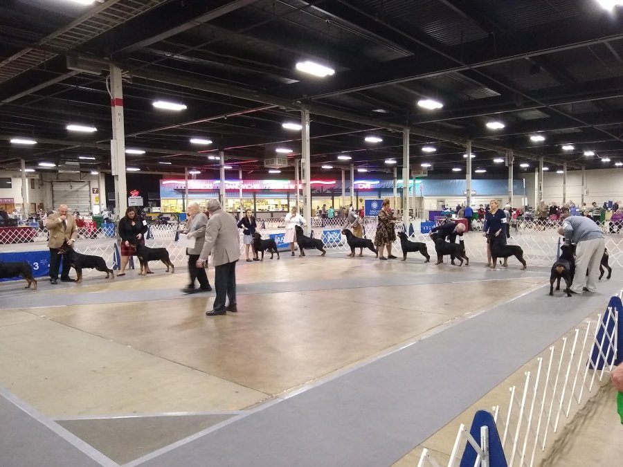 The Big E Arena At Eastern States Exposition — photo 2 of 4