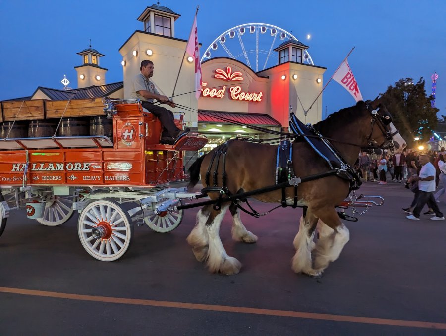 The Big E Arena At Eastern States Exposition — photo 3 of 4