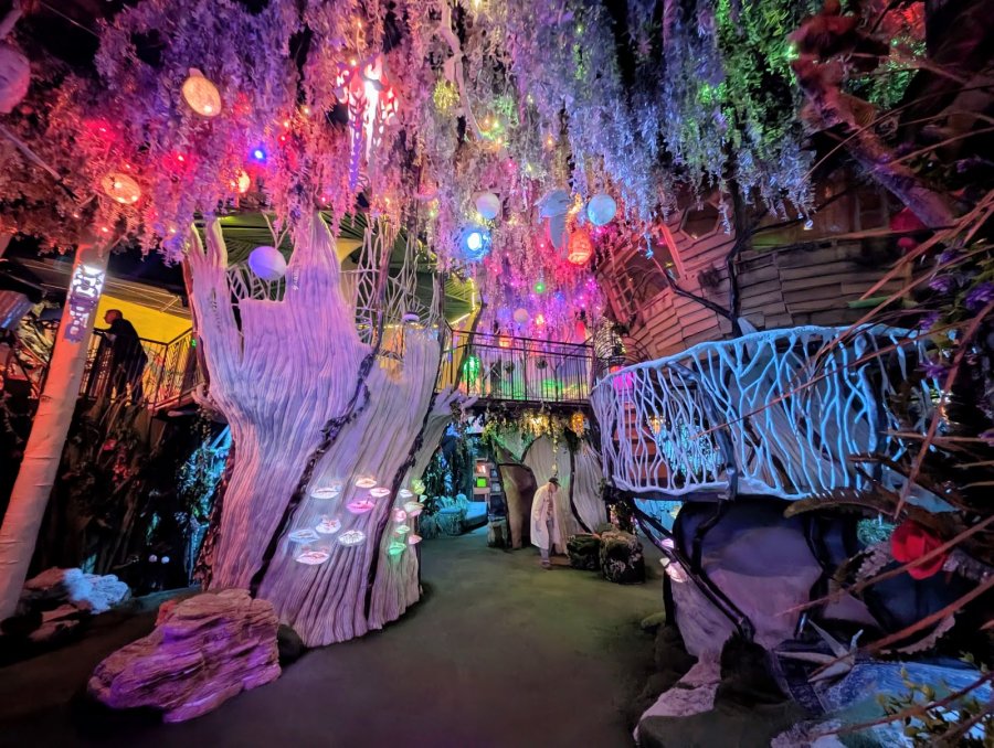 Meow Wolf