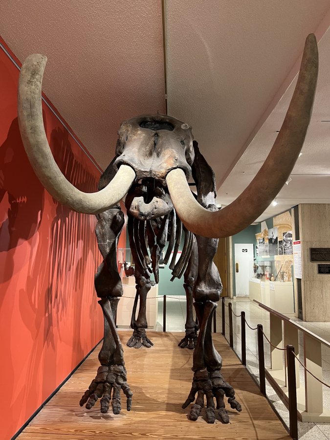 Maryland Center for History and Culture — photo 2 of 4
