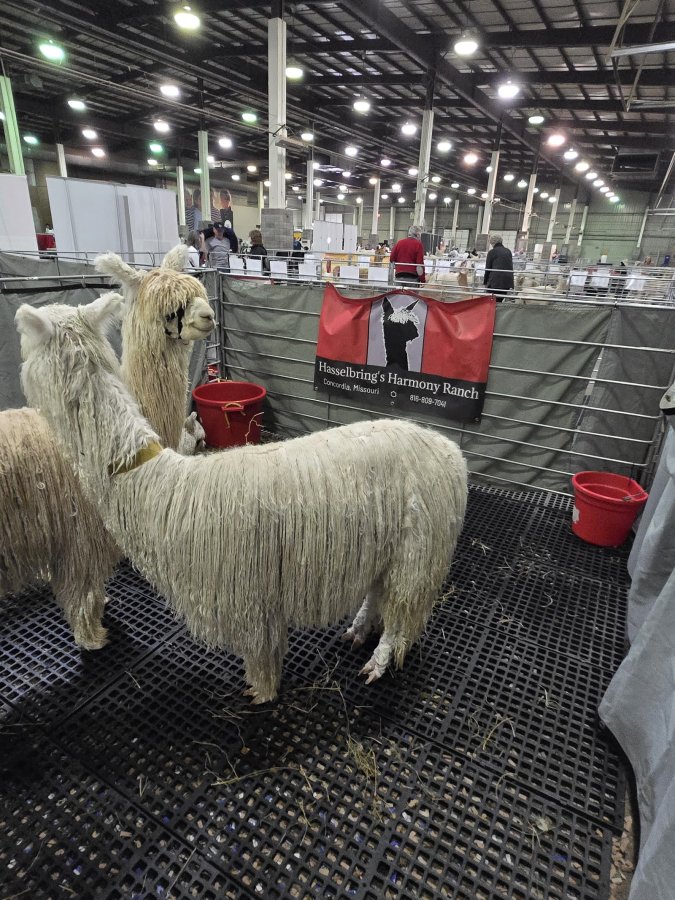 American Royal Complex