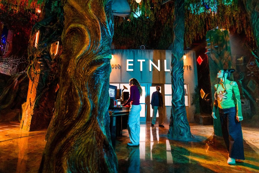 Meow Wolf