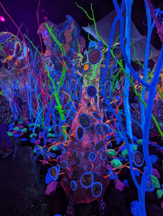 Meow Wolf — photo 2 of 4