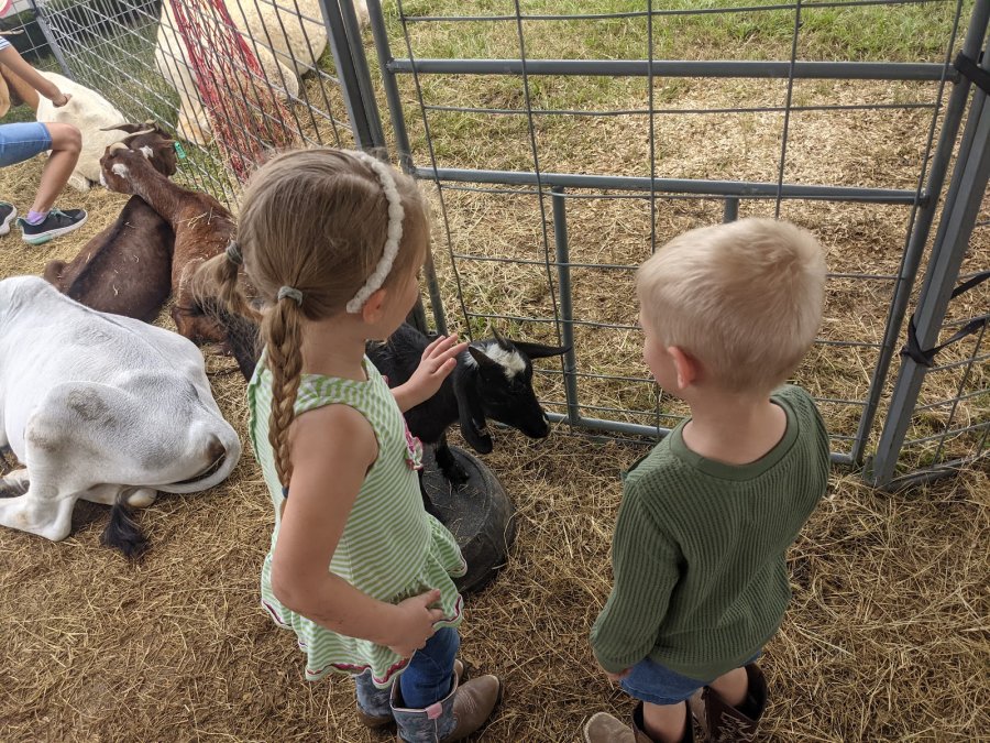 Brazoria County Fairgrounds