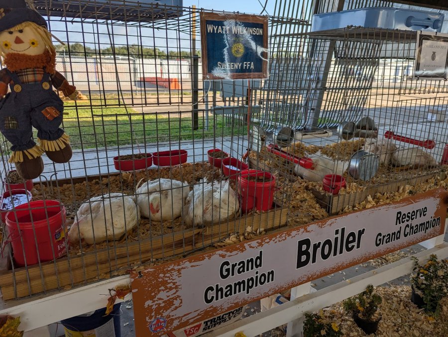 Brazoria County Fairgrounds — photo 2 of 4