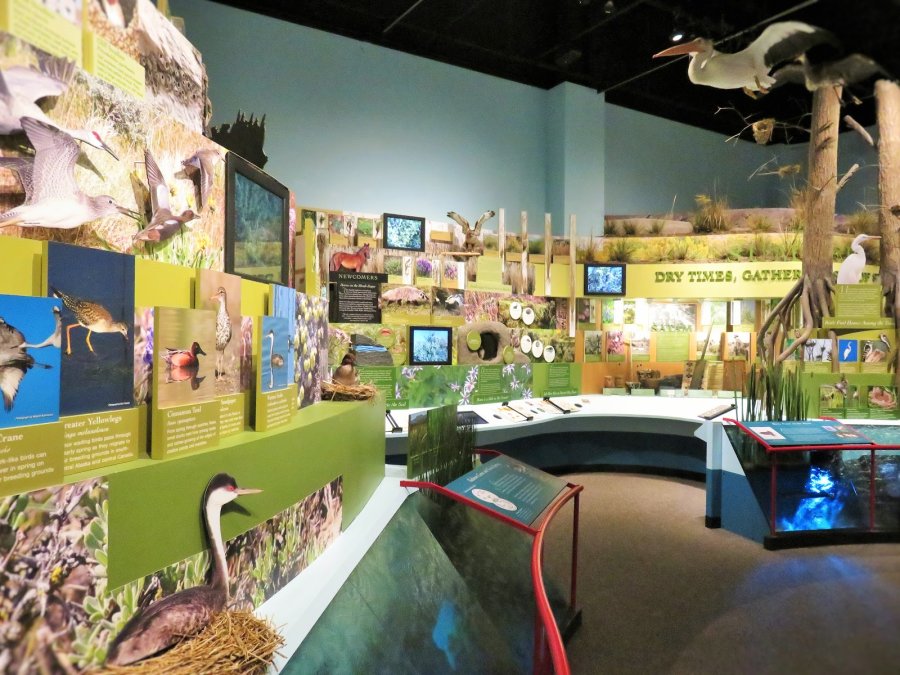 REACH Museum — photo 4 of 4