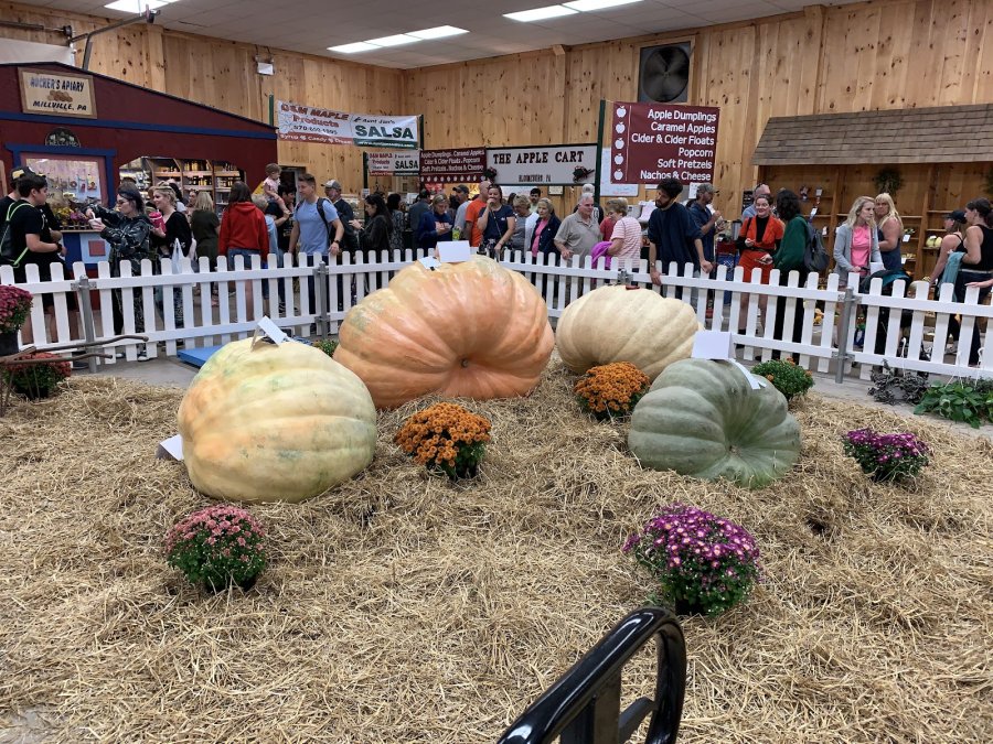 Bloomsburg Festival Grounds