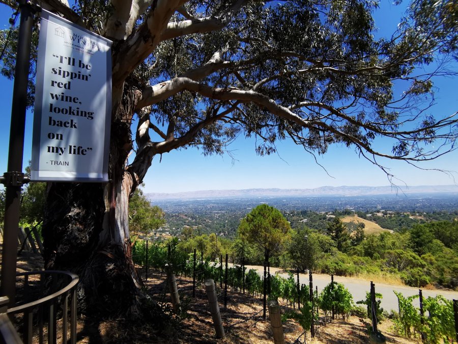 Mountain Winery — photo 4 of 4