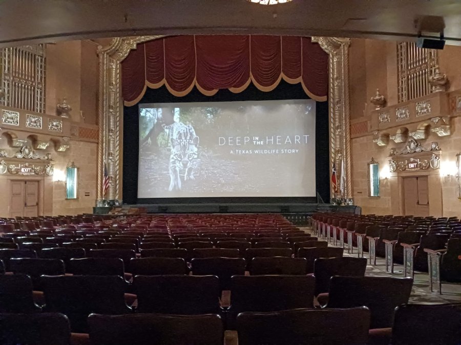 Jefferson Theatre — photo 4 of 4