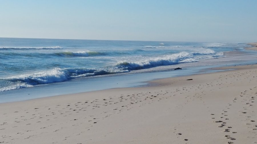 Nauset Beach — photo 3 of 4