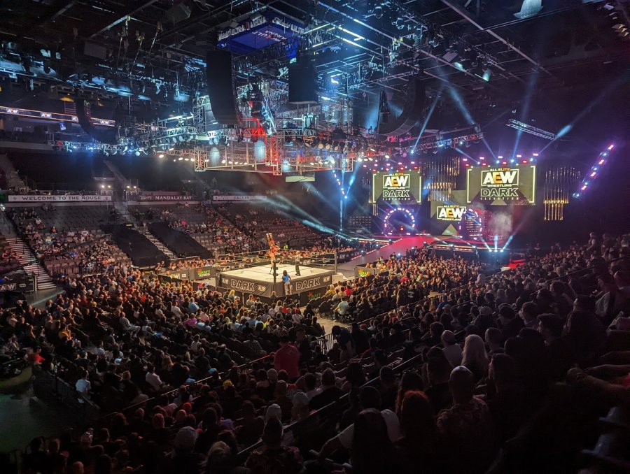Michelob ULTRA Arena At Mandalay Bay — photo 2 of 4