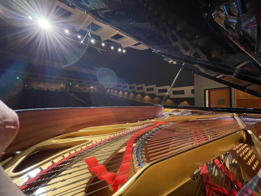 Davis Concert Hall — photo 3 of 4