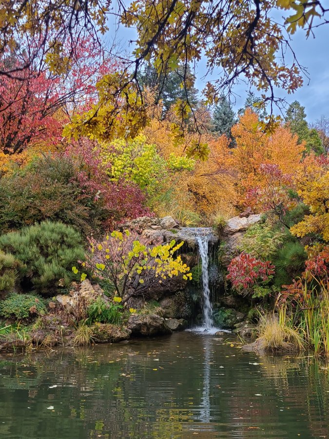 Red Butte Garden — photo 4 of 4