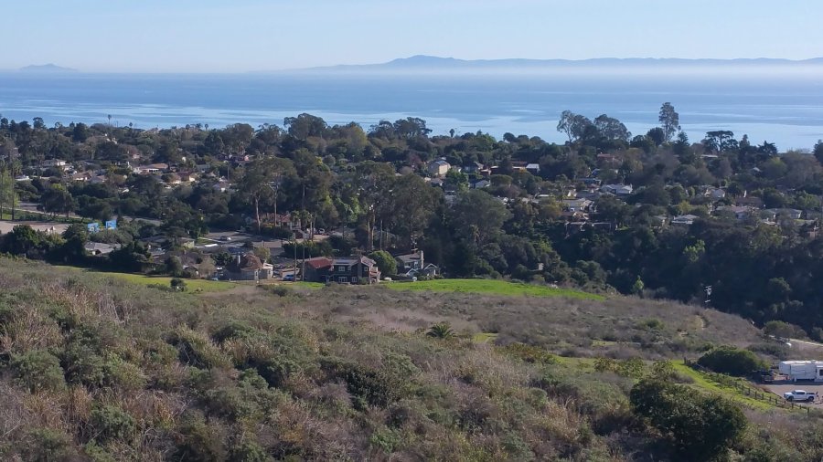 Elings Park — photo 3 of 4