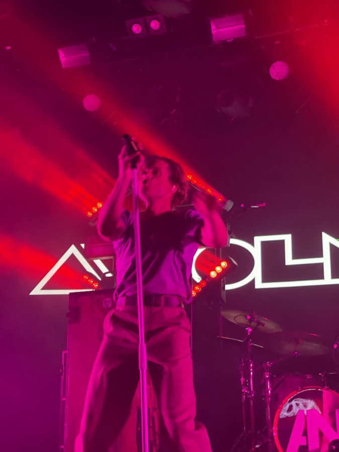 Royale Boston — photo 3 of 4