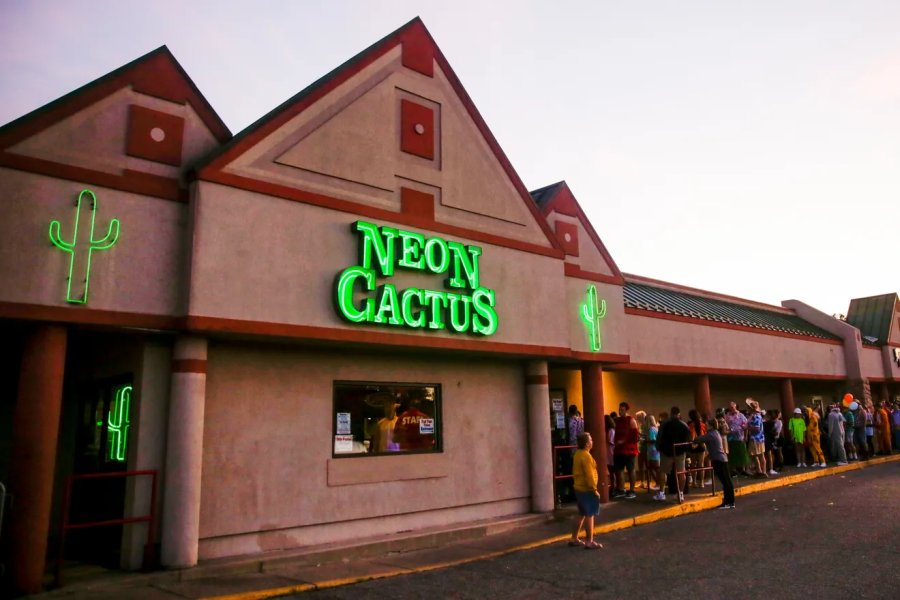 Neon Cactus — photo 4 of 4