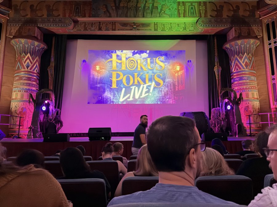 Egyptian Theatre — photo 2 of 4