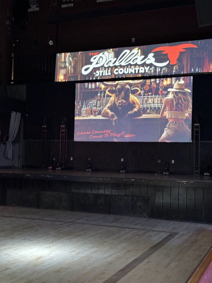The Dallas Bull — photo 2 of 4