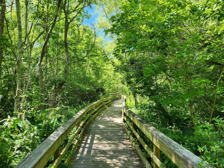 Mead Botanical Garden — photo 4 of 4