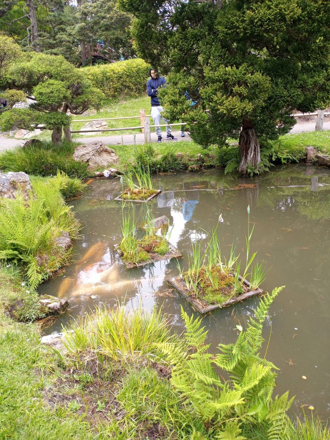 Golden Gate Park