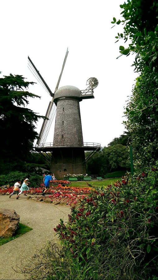 Golden Gate Park — photo 4 of 4